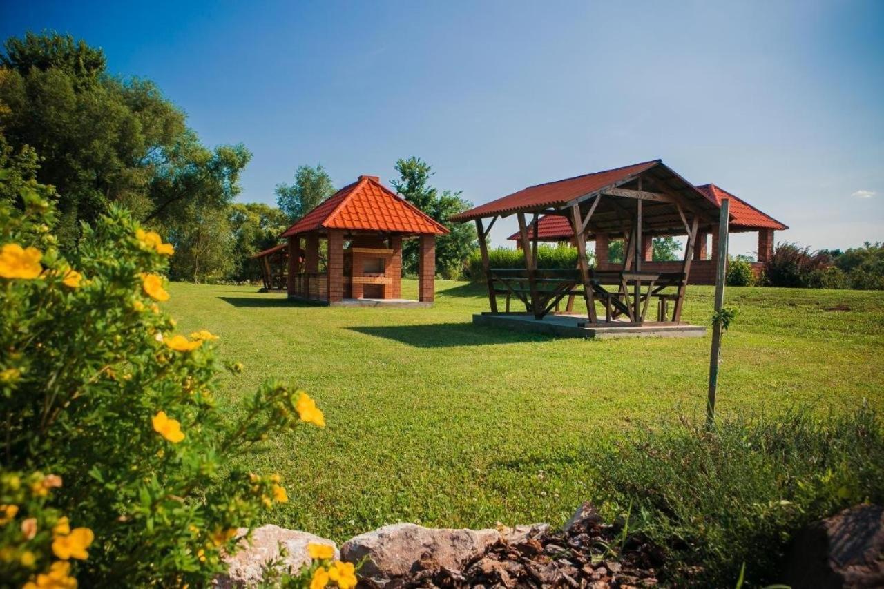 Illara Spa Hotel Irshava Exterior foto